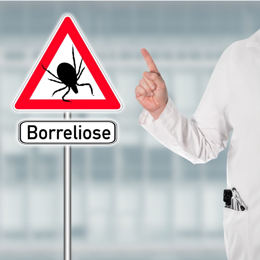 Lymeská borrelióza
