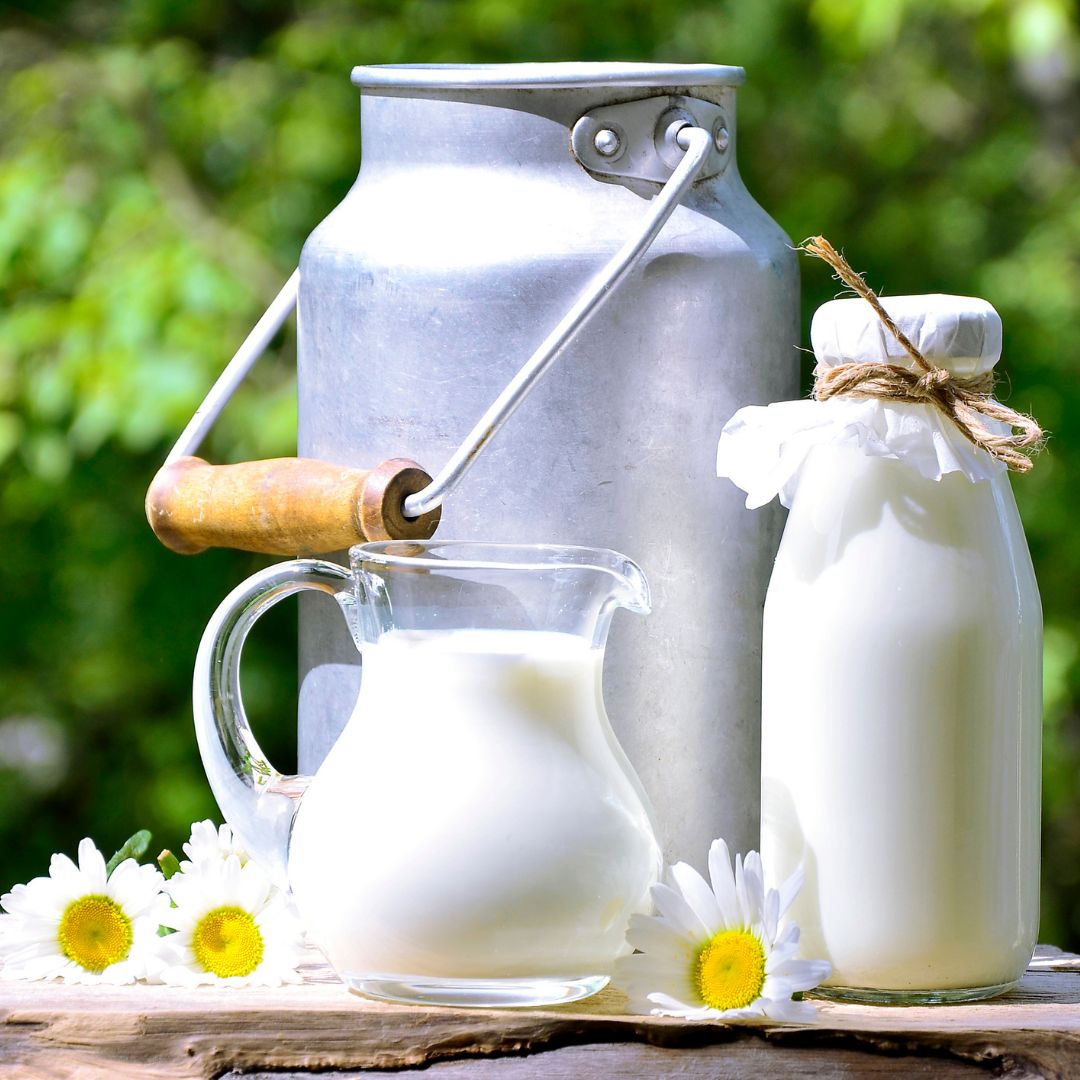 Potravinové intolerance na mléko (velká zkum.)