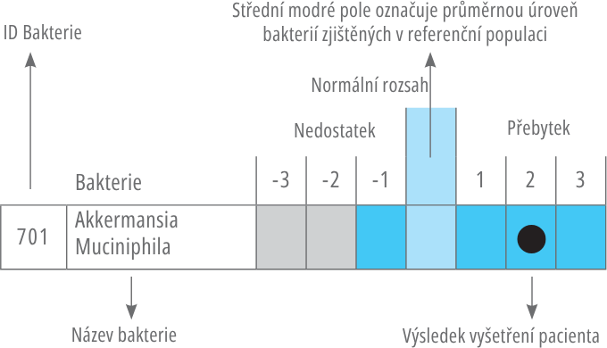 kvantitativní složení střevního mikrobiomu