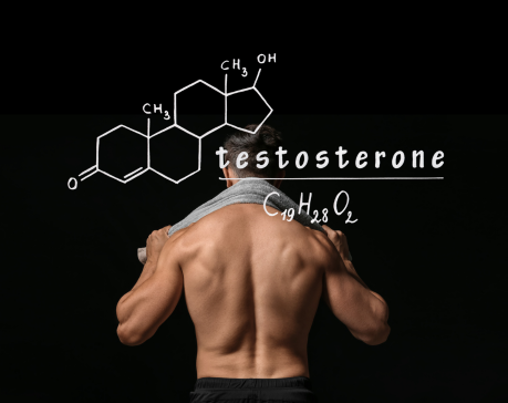 Testosteron – klíčový hormon pro energii, svaly a rovnováhu