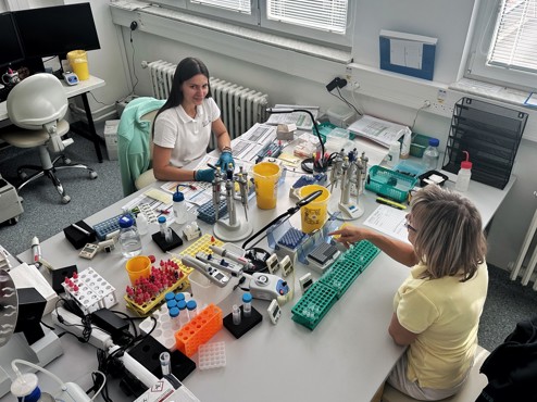 Laboratoř průtokové cytometrie SPADIA je klíčovým partnerem průlomového výzkumu léčby mnohočetného myelomu