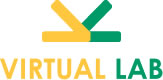 Virtual LAB